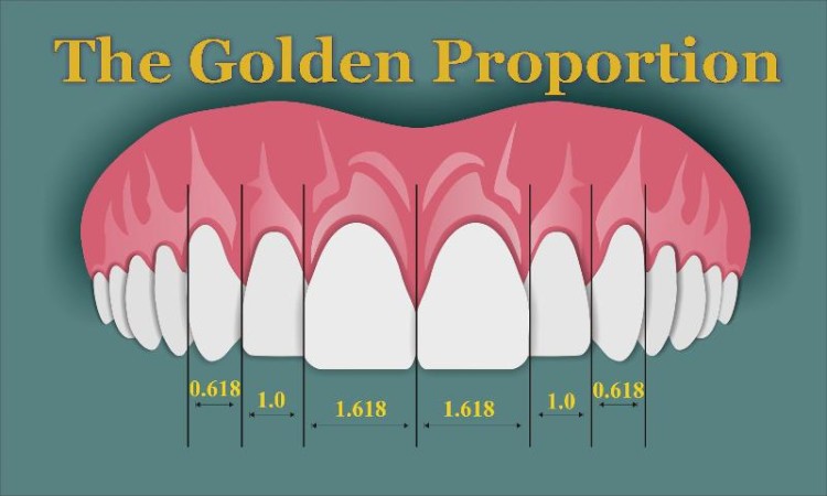 Linijka do mierzenia złotych proporcji Golden Ruler