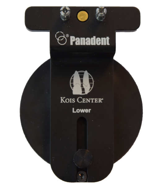articulator-mount-lower-top-500x613.png