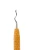 www2.webp