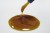 Myzotect-Tincture-CL-03.jpg