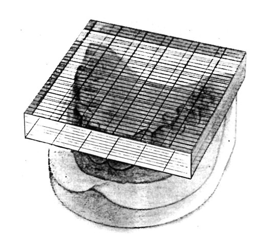 Płytka pomiarowa Dr T. Schmutha