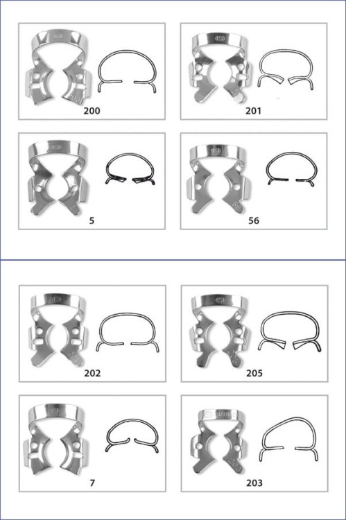 Klamra 203 na trzonowce ze skrzydełkami