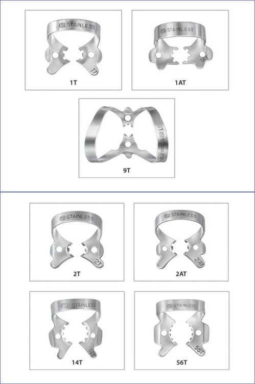 Klamra Tygrysia  1AT
